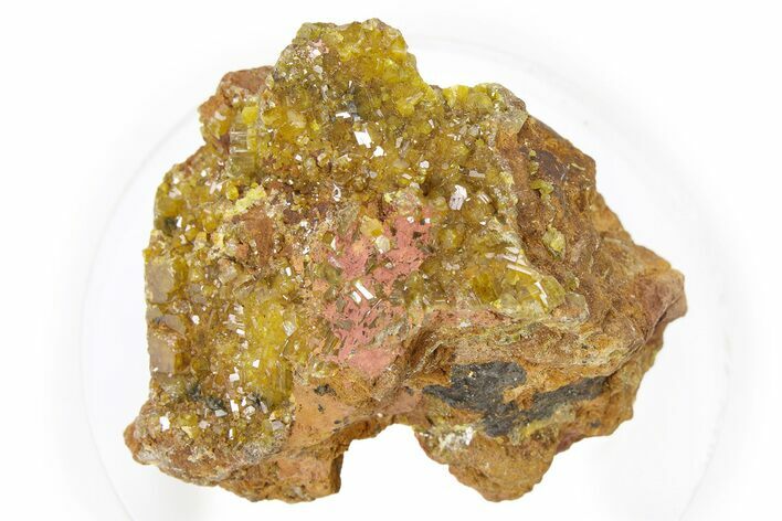 Lustrous Orange Pyromorphite Crystal Cluster - DR Congo #322604